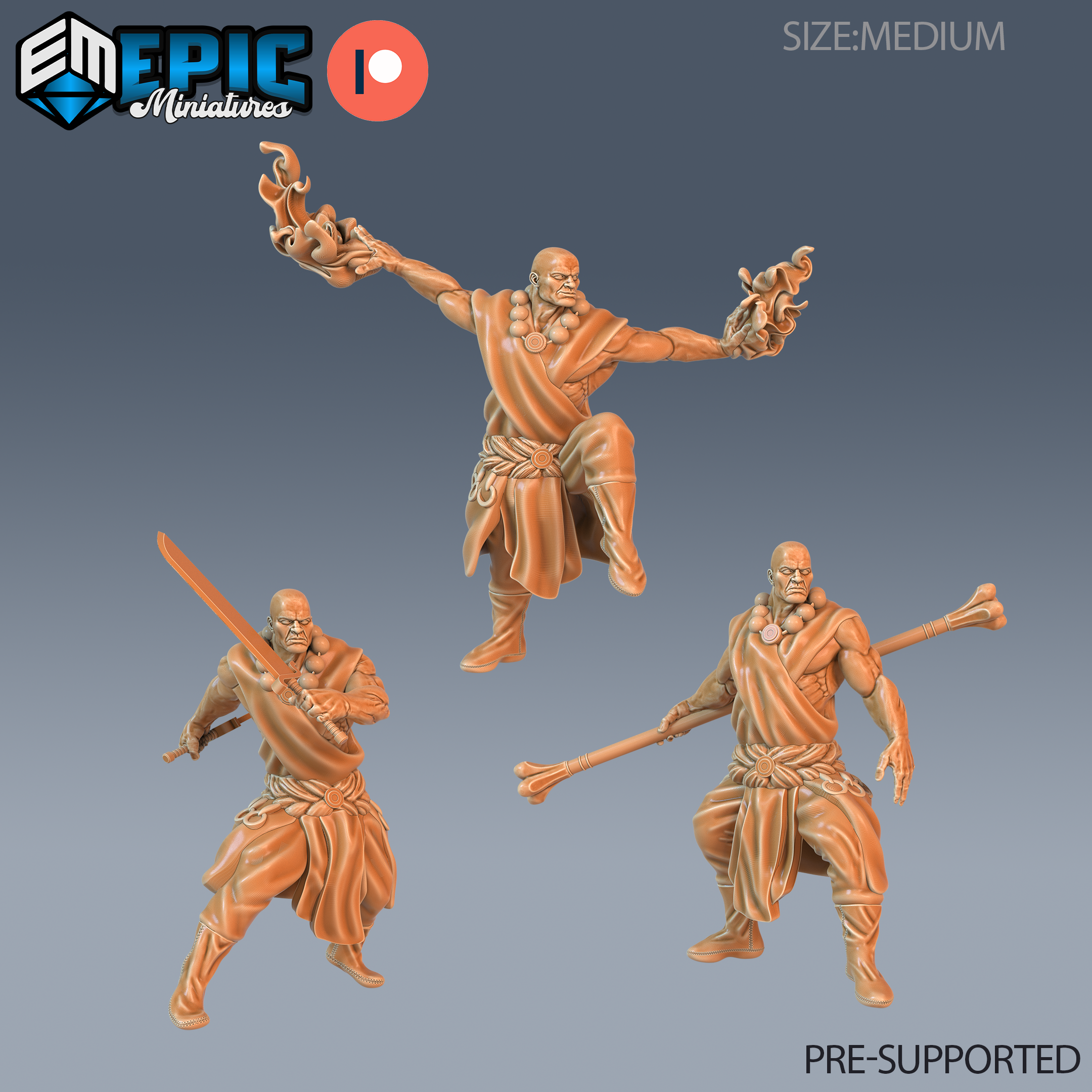 Monk Player Character